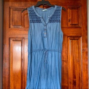 Denim Shirt Dress with Embroidery Detail